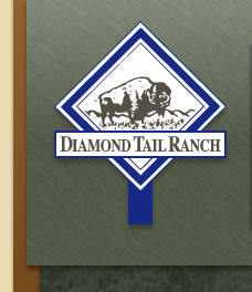 Diamond Tail Ranch Logo