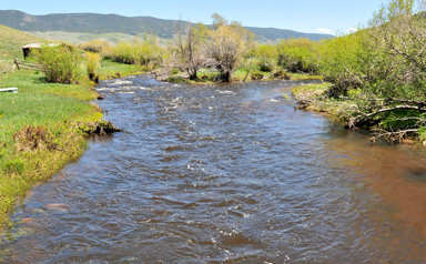 Diamond Tail Laramie River Photo